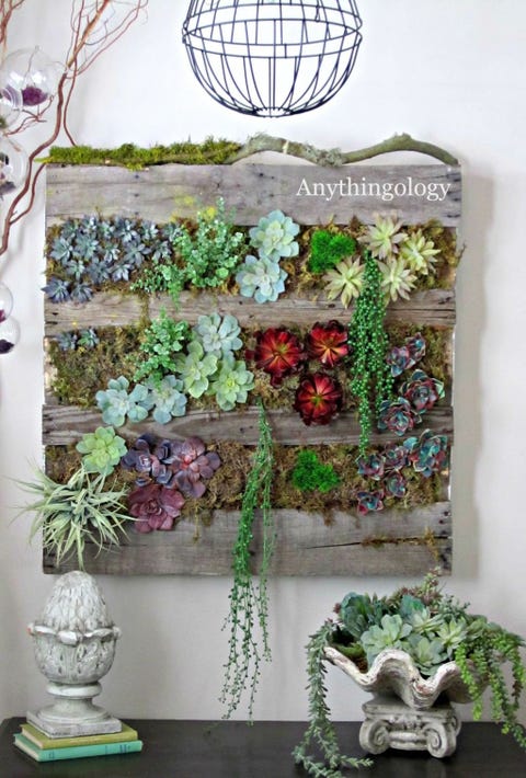 Palette jardinière d'intérieur