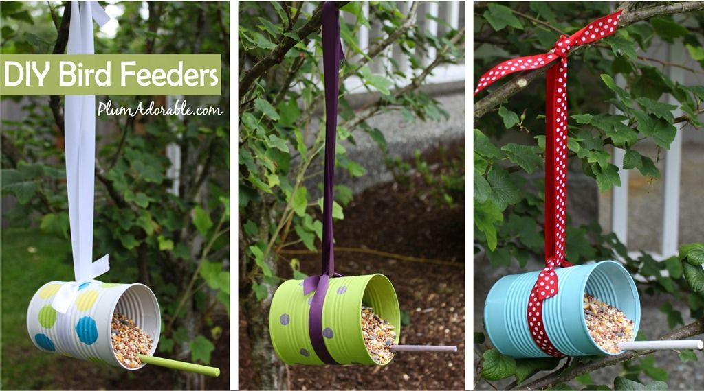 Bird Feeders For Every Backyard Diy Bird Feeders