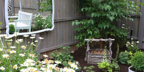 Wood, Plant, Garden, Shrub, Groundcover, Backyard, Flowerpot, Home fencing, camomile, Chamaemelum nobile, 