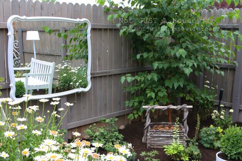 Wood, Plant, Garden, Shrub, Groundcover, Backyard, Flowerpot, Home fencing, camomile, Chamaemelum nobile, 