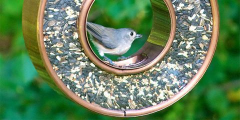 Bird Feeders For Every Backyard - DIY Bird Feeders