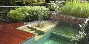 Body of water, Grass, Wood, Property, Landscape, Shrub, Wood stain, Hardwood, Garden, Water feature, 