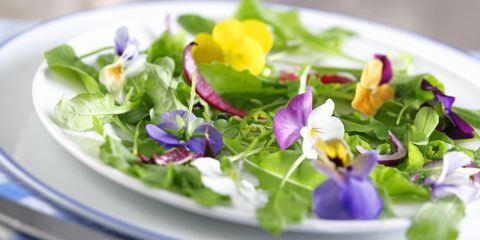 Where To Buy Edible Flowers - Recipes with Edible Flowers