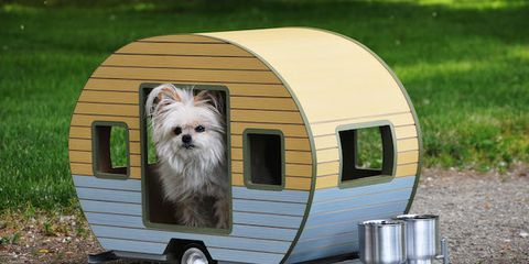 trailer dog house