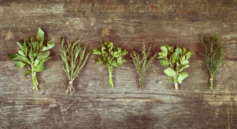 How to Preserve Fresh Herbs - Ideas for Using Up Herbs