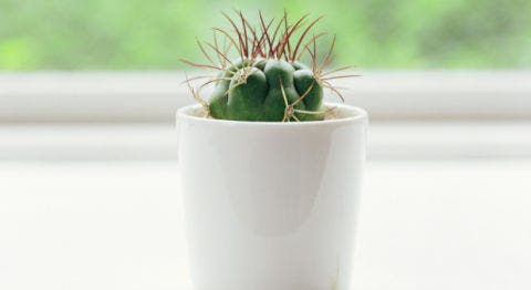 Bad Luck Design: Things to Watch Out for at Home - Feng Shui Tips