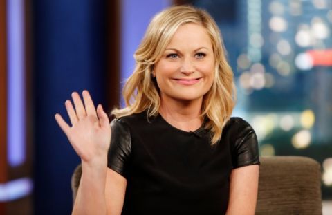 Amy Poehler characters