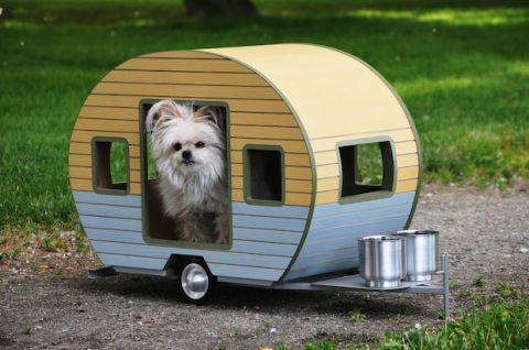 camper dog house