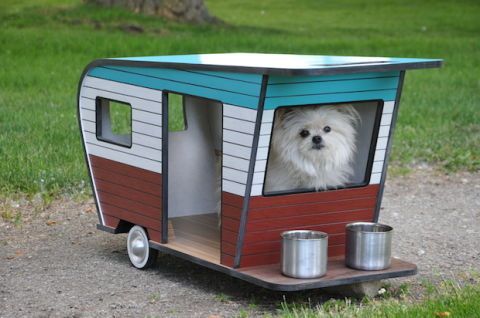 camper dog house