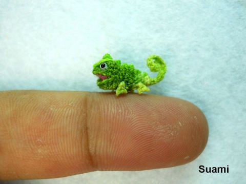 Finger, Green, Skin, Joint, Adaptation, Terrestrial animal, Amphibian, Reptile, Photography, Common chameleon, 
