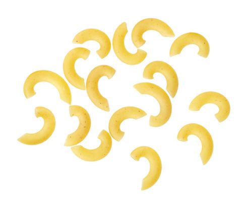 elbow macaroni noodles