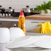 Daytime Secrets for Steamy Nights Dishes