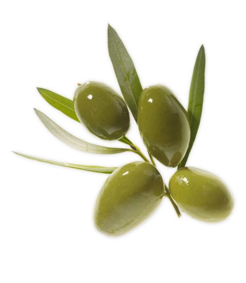Kalamata oliver