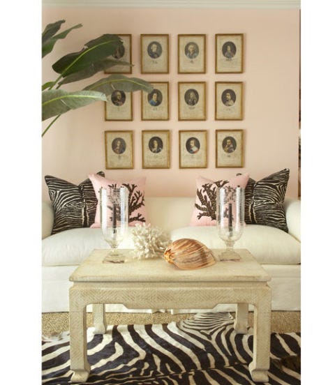 room with zebra print pillows and rug