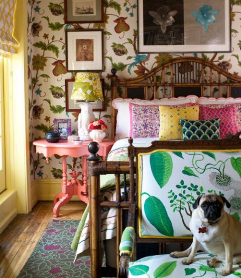 colorful bedroom with dog