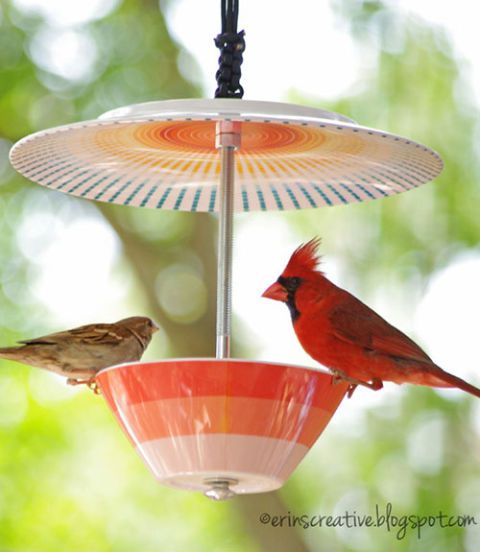 How To Make A Bird Feeder Homemade Bird Feeders