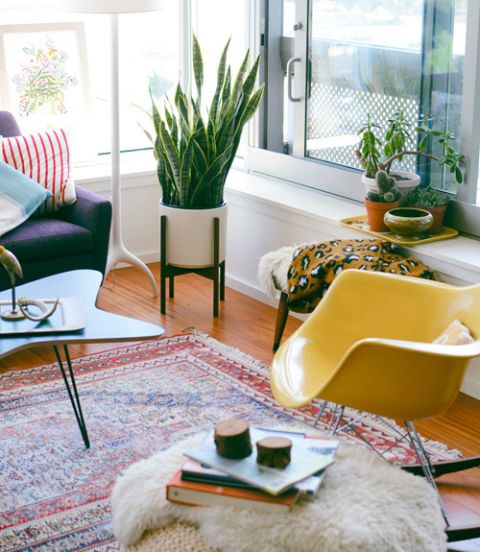 how to decorate with houseplants - best houseplant decor