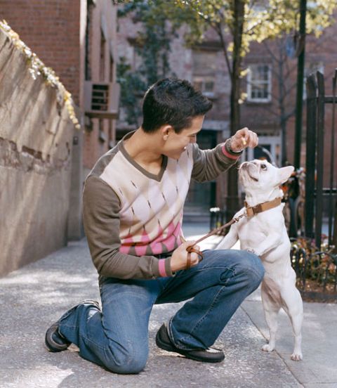 man giving dog a treat