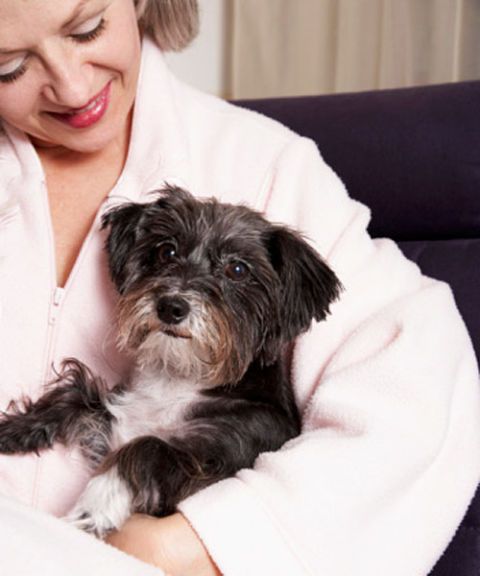 owner holding small dog