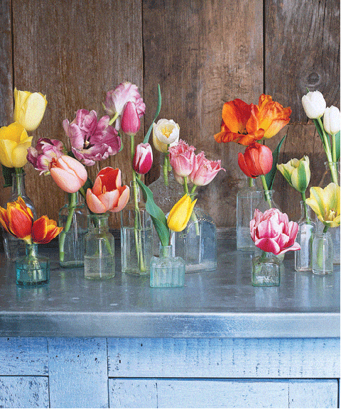 Tulip flower arrangements for spring