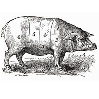rigatoni-shredded-pork-1934