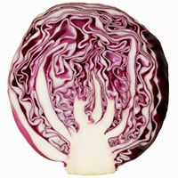 stir-fried-red-cabbage-2078