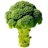 stir-fried-broccoli-with-pasta-2372