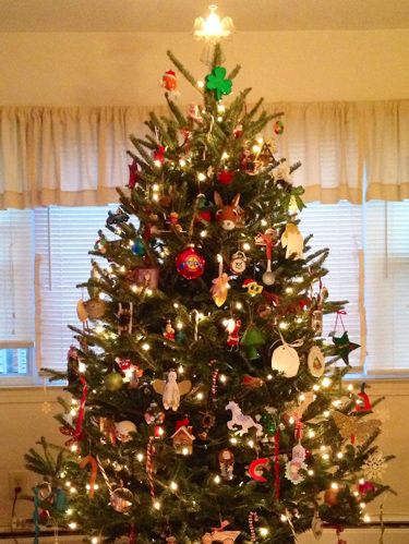 Beautiful Christmas Trees, Pictures & Ideas - Good Housekeeping ...