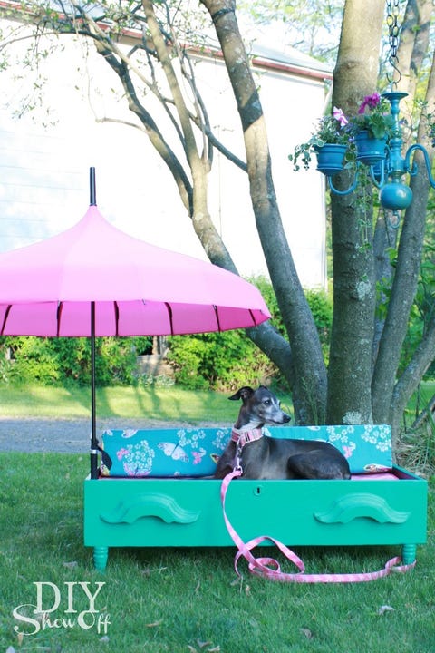 Diy Pet Beds Craft Projects For Dogs And Cats Diy Pet Beds Craft Projects For Dogs