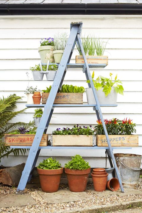 Diy A Ladder Planter Stand, How To Turn A Wooden Ladder Into Plant Stand