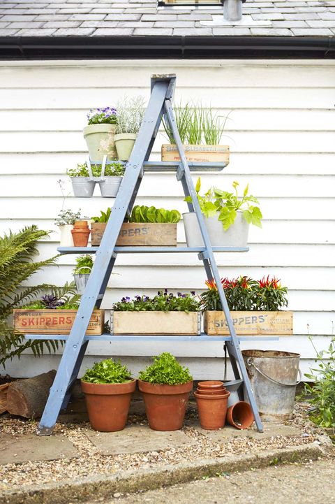 35 Backyard Decorating Ideas Easy Gardening Tips And Diy Projects - Diy Gardening Ideas For Home