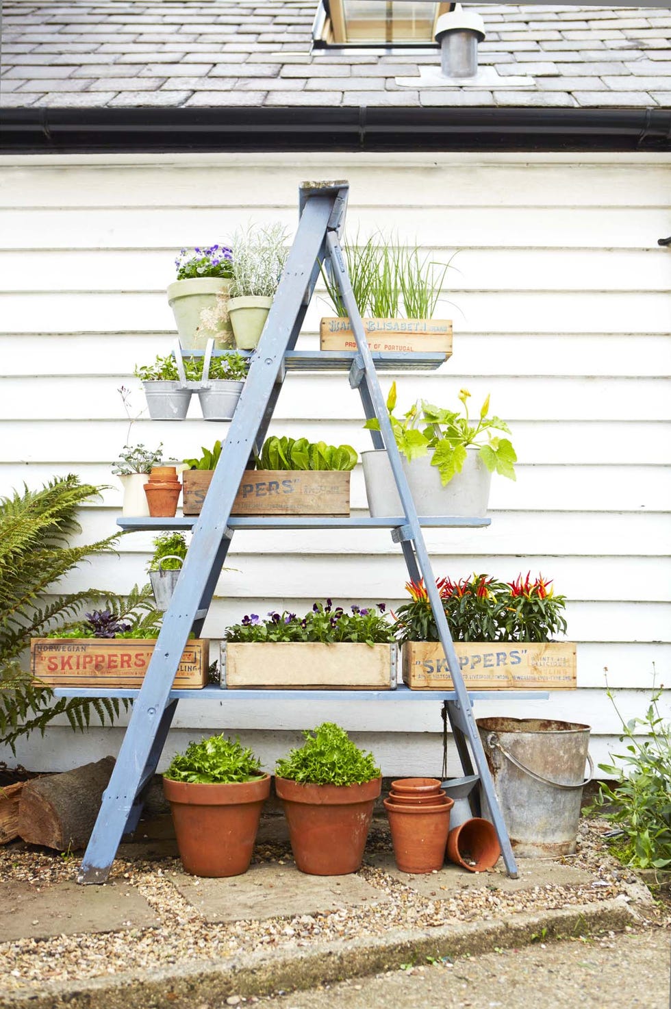 Ladder Planter