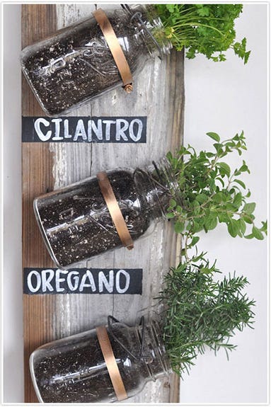 Mason Jar Craft - Herb Holder Mason Jar Craft - Herb Holder