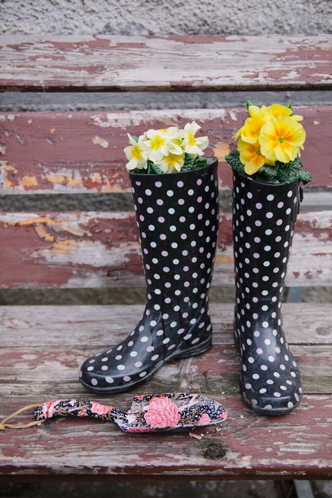 Footwear, Yellow, Polka dot, Pattern, Flower, Design, Spring, Shoe, Plant, Wildflower, 