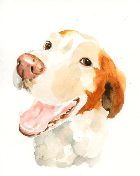Etsy Pet Portraits - Affordable Art for Your Home