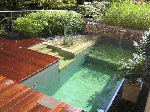 Body of water, Grass, Wood, Property, Landscape, Shrub, Wood stain, Hardwood, Garden, Water feature, 