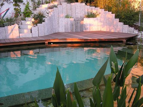 Water, Reflection, Pond, Terrestrial plant, Swimming pool, Reflecting pool, Water feature, Resort, Perennial plant, Spa town, 