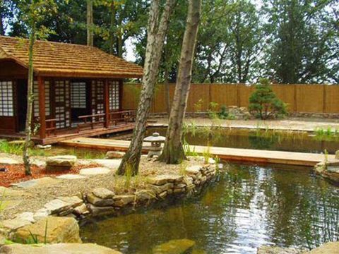 Natural landscape, Property, Pond, Backyard, Nature reserve, Cottage, Fish pond, Home, Landscape, Real estate, 