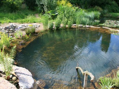 Body of water, Water resources, Natural landscape, Pond, Nature, Riparian zone, Water, Watercourse, Bank, Fish pond, 