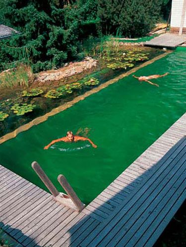 BioNova® - Building Custom Natural Swimming Pool Designs