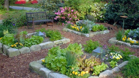 Backyard Oasis Beautiful Backyard Ideas