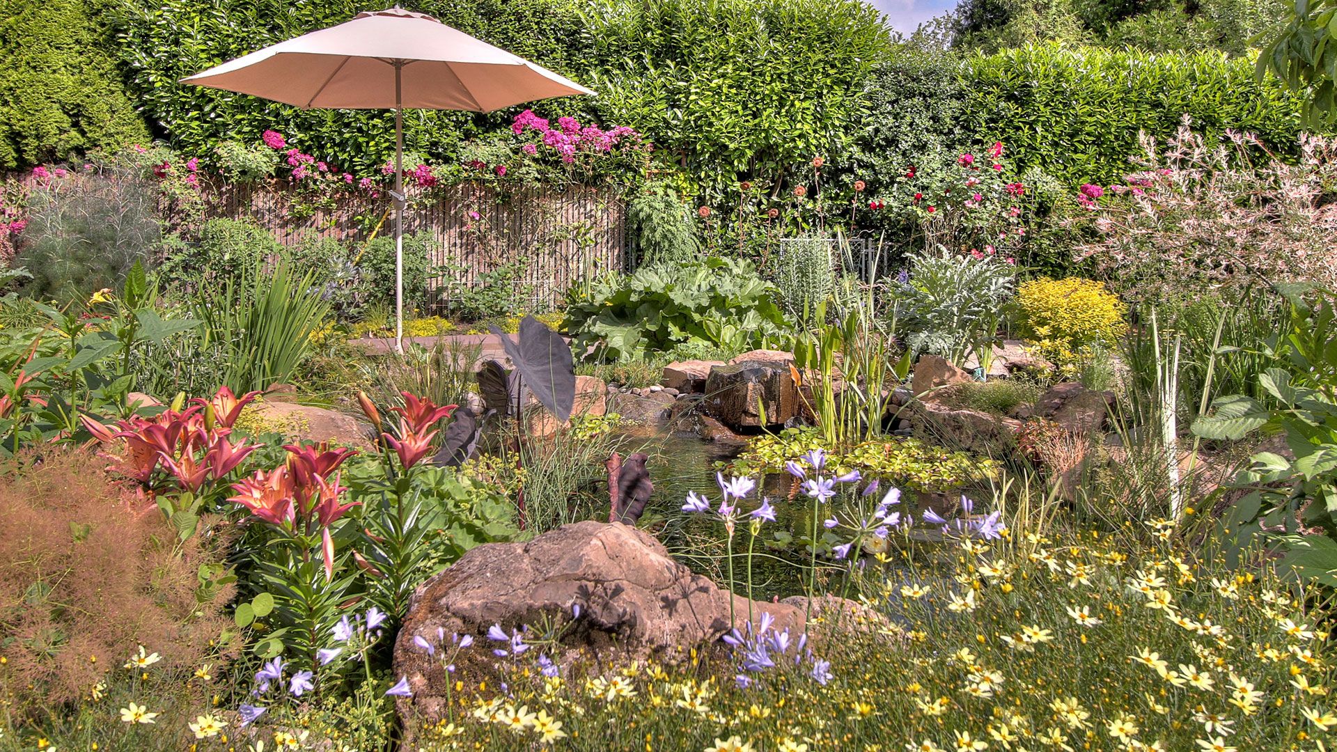 Backyard Oasis Beautiful Backyard Ideas