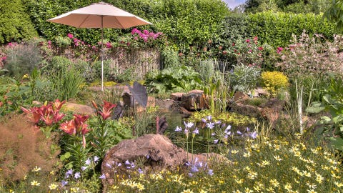 Backyard Oasis Beautiful Backyard Ideas