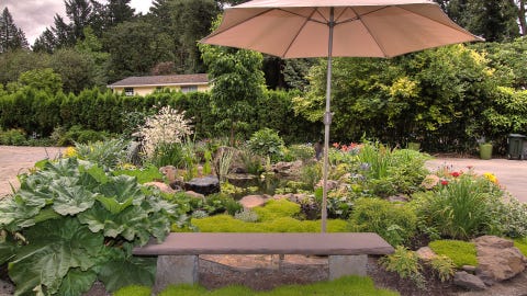 Backyard Oasis Beautiful Backyard Ideas