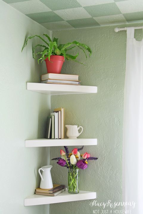 Shelf, Shelving, Furniture, Wall, Room, Interior design, Plant, Flower, 