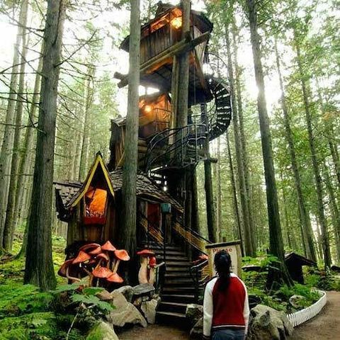 Enchanted Forest For Sale Fairytale Theme Park Tour