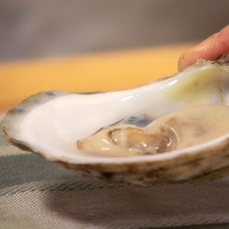 Little-known fact about raw oysters is disturbing people for a good reason  - Mirror Online
