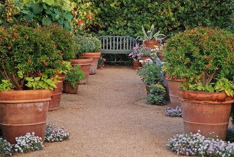 16 Container Gardening Ideas Potted Plant We Love - How To Arrange Potted Plants On A Patio