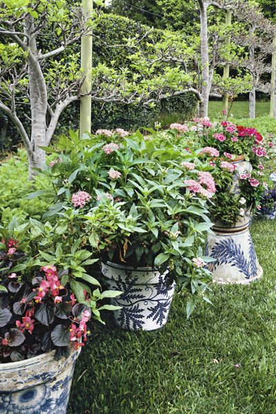 16 Container Gardening Ideas - Potted Plant Ideas We Love