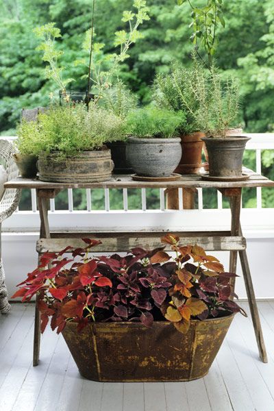 16 Container Gardening Ideas Potted Plant We Love - Garden Table Plant Pot